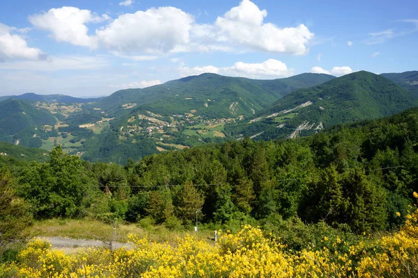 Paesaggio Estivo Lungo Strada Passo Della Cisa Appennino Italia Provincia — Foto Stock