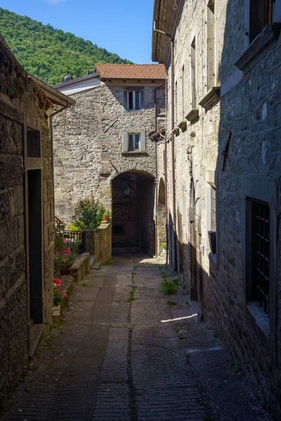 Casola Lunigiana Ιστορική Πόλη Στην Επαρχία Massa Και Carrara Τοσκάνη — Φωτογραφία Αρχείου