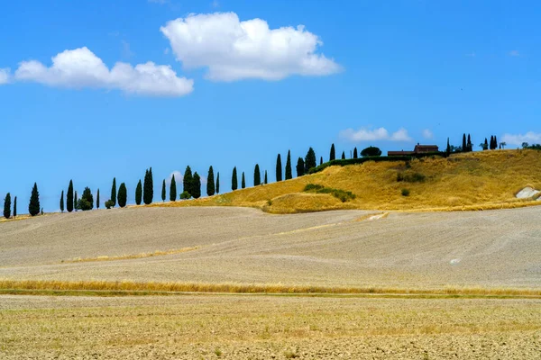 ヴァル オルシア トスカーナ イタリア 夏の農村風景 — ストック写真