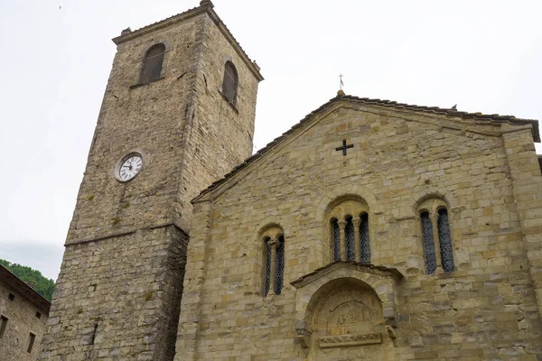 Exterior Iglesia Santa Maria Assunta Popiglio Provincia Pistoia Toscana Ital —  Fotos de Stock