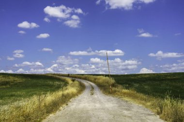 Val d Orcia, Tuscany, İtalya 'da yaz aylarında kırsal alan