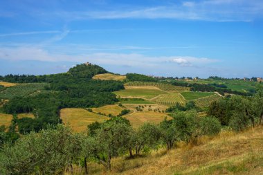 İtalya 'nın Toskana bölgesindeki Firenze eyaletindeki Chianti üzüm bağları.
