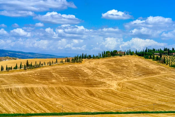 Сільський Краєвид Вал Орсії Тоскана Італія Влітку — стокове фото