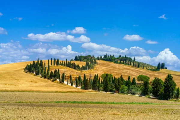 Val Orcia Tuscany Talya Yaz Aylarında Kırsal Alan — Stok fotoğraf