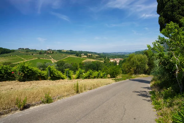 Vignobles Chianti Dans Province Florence Toscane Italie Été — Photo