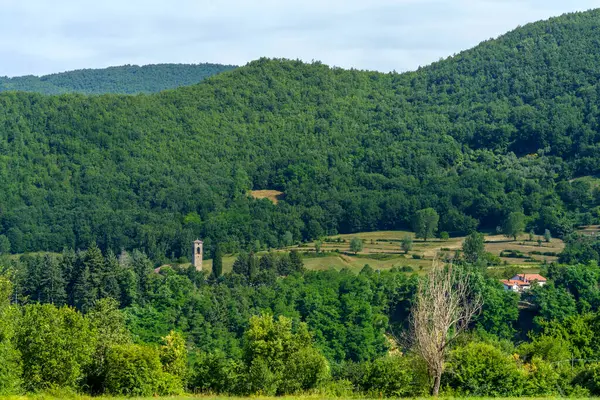 Zomer Andscape Langs Weg Naar Foce Carpinelli Toscane Italië — Stockfoto