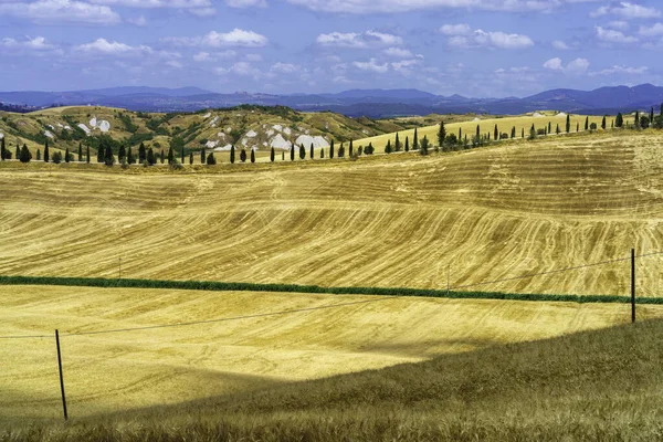 Paesaggio Rurale Val Orcia Toscana Italia Estate — Foto Stock
