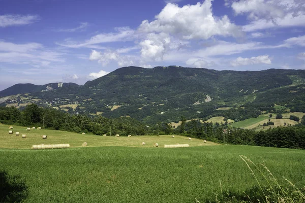Letni Krajobraz Wzdłuż Drogi Passo Della Cisa Appennino Włochy Prowincji — Zdjęcie stockowe