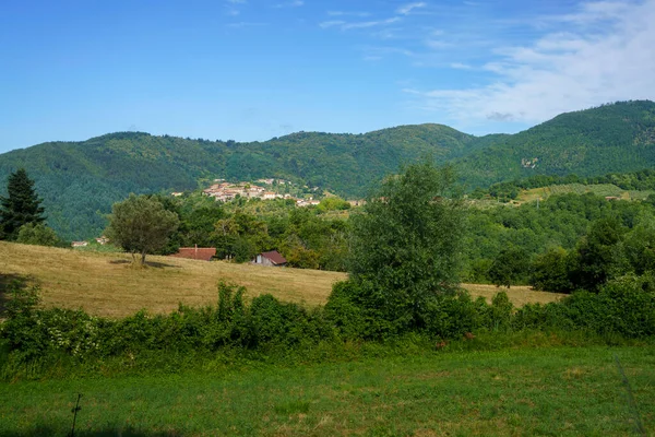 Letní Krajina Podél Silnice Foce Carpinelli Toskánsko Itálie — Stock fotografie