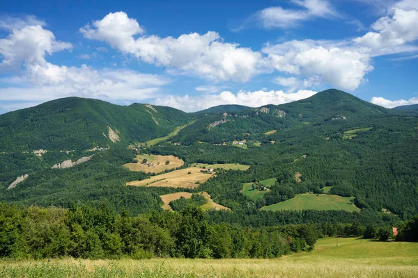 Zomer Landschap Langs Weg Naar Passo Della Cisa Appennino Italië — Stockfoto