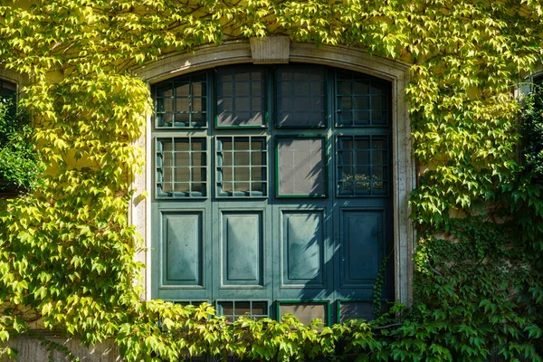 Milão Lombardia Itália Casa Velha Coberta Com Plantas Escalada Longo — Fotografia de Stock