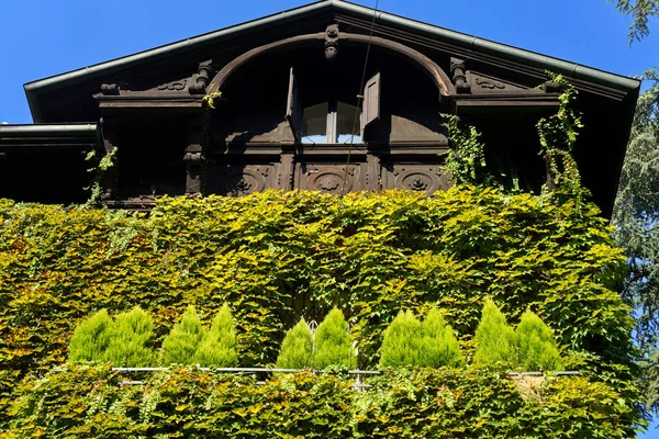 Milan Lombardie Italie Vieille Maison Couverte Plantes Grimpantes Long Mascheroni — Photo