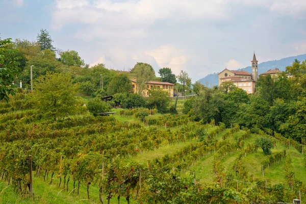 Landscape Park Curone Monte Rovagnate Lecco Province Lombardy Italy Autumn — стоковое фото