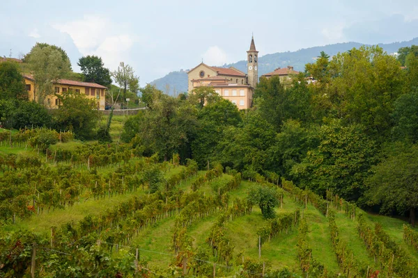 Landscape Park Curone Monte Rovagnate Lecco Province Lombardy Italy Autumn — Stock Photo, Image