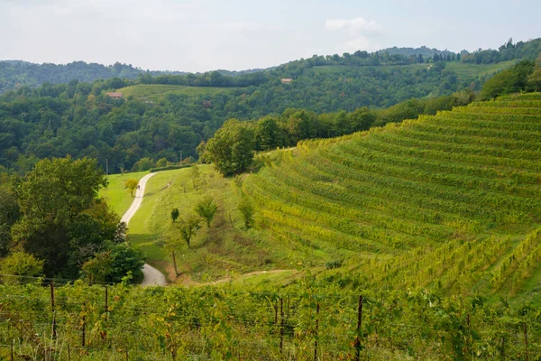 Vineyards Park Curone Monte Rovagnate Lecco Province Lombardy Italy Autumn — ストック写真