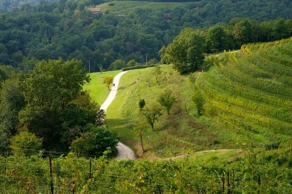 Vineyards Park Curone Monte Rovagnate Lecco Province Lombardy Italy Autumn — Stock fotografie