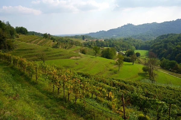 Vineyards Park Curone Monte Rovagnate Lecco Province Lombardy Italy Autumn — ストック写真