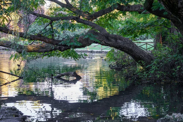 Milan, Lombardy, İtalya: Sonbaharda Parco Sempione olarak bilinen park)