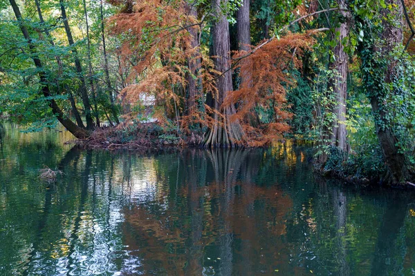 Milão Lombardia Itália Parque Conhecido Como Giardini Montanelli Novembro — Fotografia de Stock