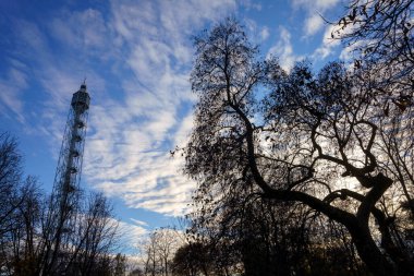 Milan, Lombardy, İtalya: Kasım ayında Parco Sempione olarak bilinen park