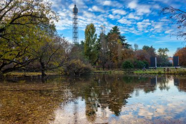 Milan, Lombardy, İtalya: Kasım ayında Parco Sempione olarak bilinen park