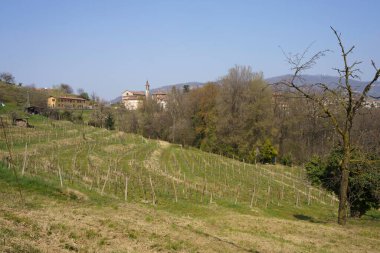 Mart ayında İtalya 'nın Lombardiya eyaletindeki Monte di Rovagnatif kentindeki Curone parkında manzara
