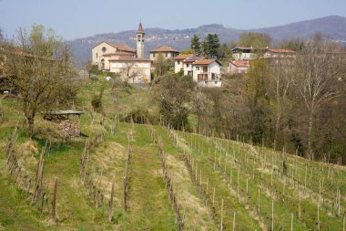 Mart ayında İtalya 'nın Lombardiya eyaletindeki Monte di Rovagnatif kentindeki Curone parkında manzara