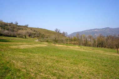 Mart ayında İtalya 'nın Lombardiya eyaletindeki Monte di Rovagnatif kentindeki Curone parkında manzara