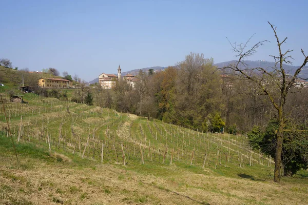 Mart ayında İtalya 'nın Lombardiya eyaletindeki Monte di Rovagnatif kentindeki Curone parkında manzara