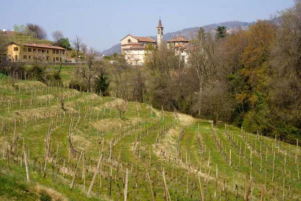 Mart ayında İtalya 'nın Lombardiya eyaletindeki Monte di Rovagnatif kentindeki Curone parkında manzara