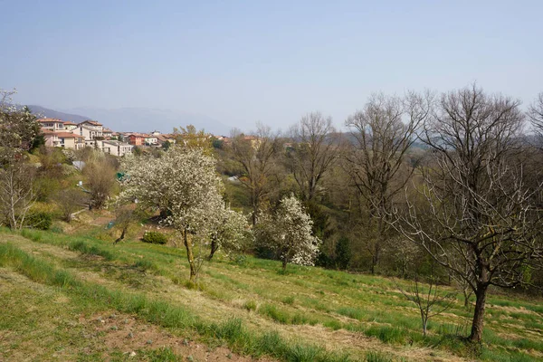 Krajina Parku Curone Monte Rovagnate Provincie Lecco Lombardie Itálie Březnu — Stock fotografie