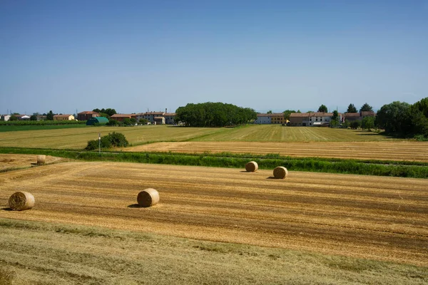 Rural Landscape Gualtieri Reggio Emilia Province Emilia Romagna Italy Summer — Photo