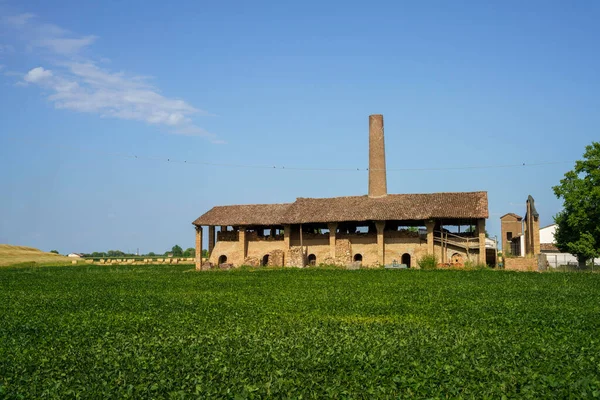 Rural Landscape Suzzara Mantua Province Lombardy Italy Summer — Stock Photo, Image