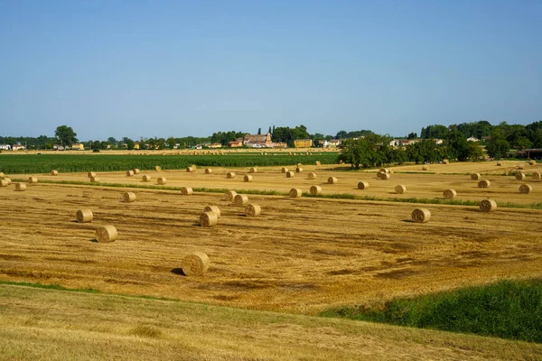 Rural Landscape Suzzara Mantua Province Lombardy Italy Summer — Stockfoto