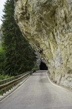 Mountain landscape along the road to Monte Baldo near Brentonico, Trento province, Trentino-Alto Adige, Italy, at summer