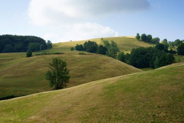 Summer landscape in Lessinia near Velo Veronese, Verona province, Veneto, Italy