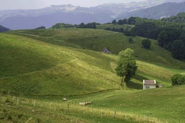 Summer landscape in Lessinia near Campofontana, Verona province, Veneto, Italy