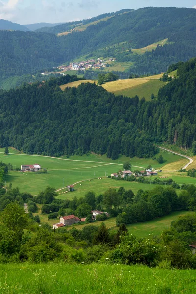 Mountain Landscape Plateau Asiago Vicenza Province Veneto Italy Summer — Zdjęcie stockowe