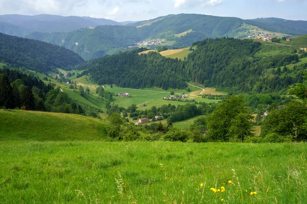 Mountain Landscape Plateau Asiago Vicenza Province Veneto Italy Summer — Photo