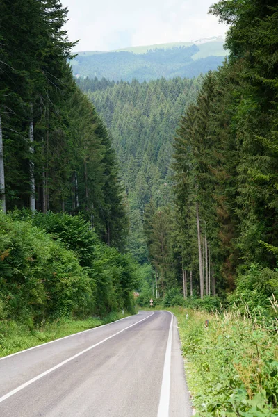 Mountain Landscape Plateau Asiago Vicenza Province Veneto Italy Summer — Photo