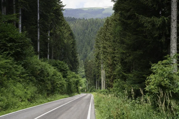 Mountain Landscape Plateau Asiago Vicenza Province Veneto Italy Summer — Stock Photo, Image