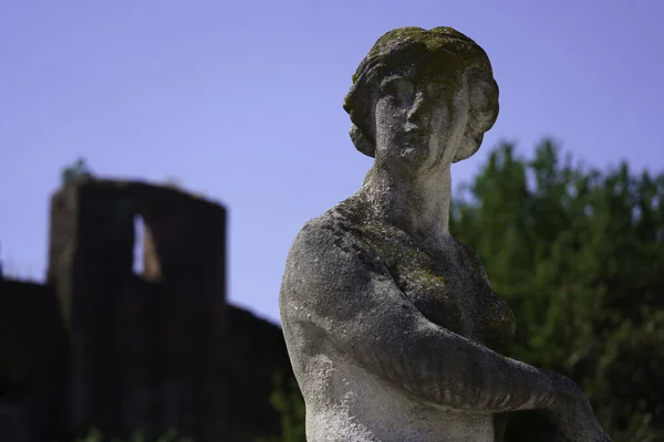 Castelfranco Veneto Nun Tarihi Binaları Treviso Ili Veneto Talya — Stok fotoğraf