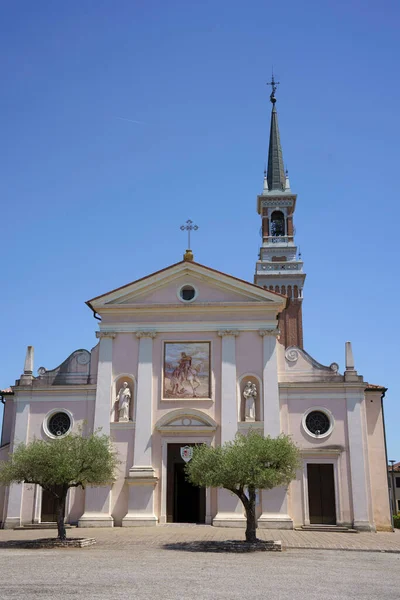 意大利维尼托帕多瓦省布伦塔领事皮亚佐拉历史性教堂外的橄榄树 — 图库照片