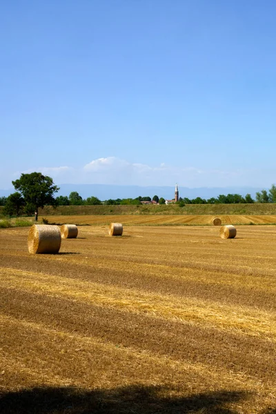 Country Landscape Longare Vicenza Province Veneto Italy — Stock Photo, Image