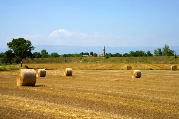 Landschap Bij Longare Provincie Vicenza Veneto Italië — Stockfoto