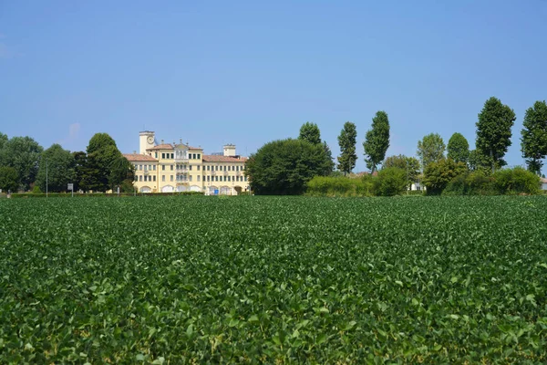 Yazın İtalya, Veneto, Padua ilindeki Colli Euganei kırsalında manzara