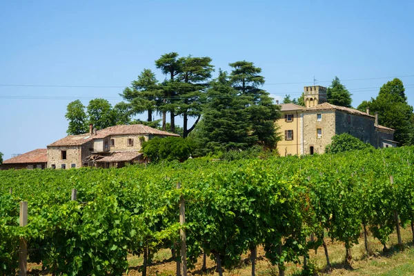 Paesaggio Rurale Sui Colli Euganei Provincia Padova Veneto Italia Estate — Foto Stock