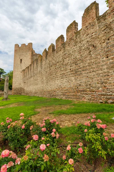 Öffentlicher Park Schloss Von Este Provinz Padua Venetien Italien — Stockfoto