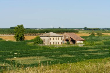 Yazın İtalya 'nın Veneto eyaletindeki Castelbaldo yakınlarındaki kırsal alan.