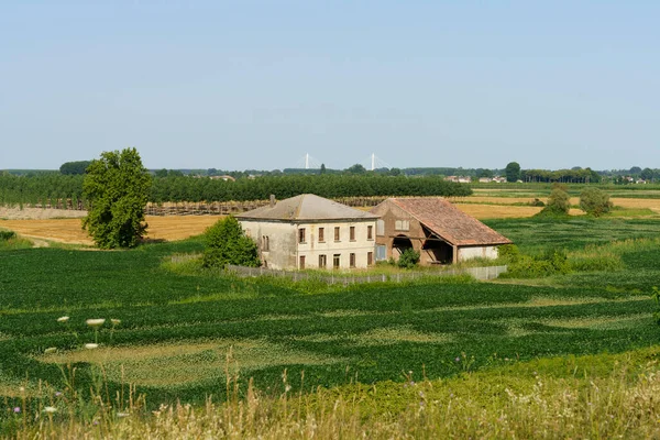 Paesaggio Rurale Vicino Castelbaldo Provincia Padova Veneto Italia Estate — Foto Stock